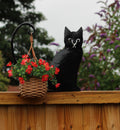 Metal Garden Decor -  Fence top Cat