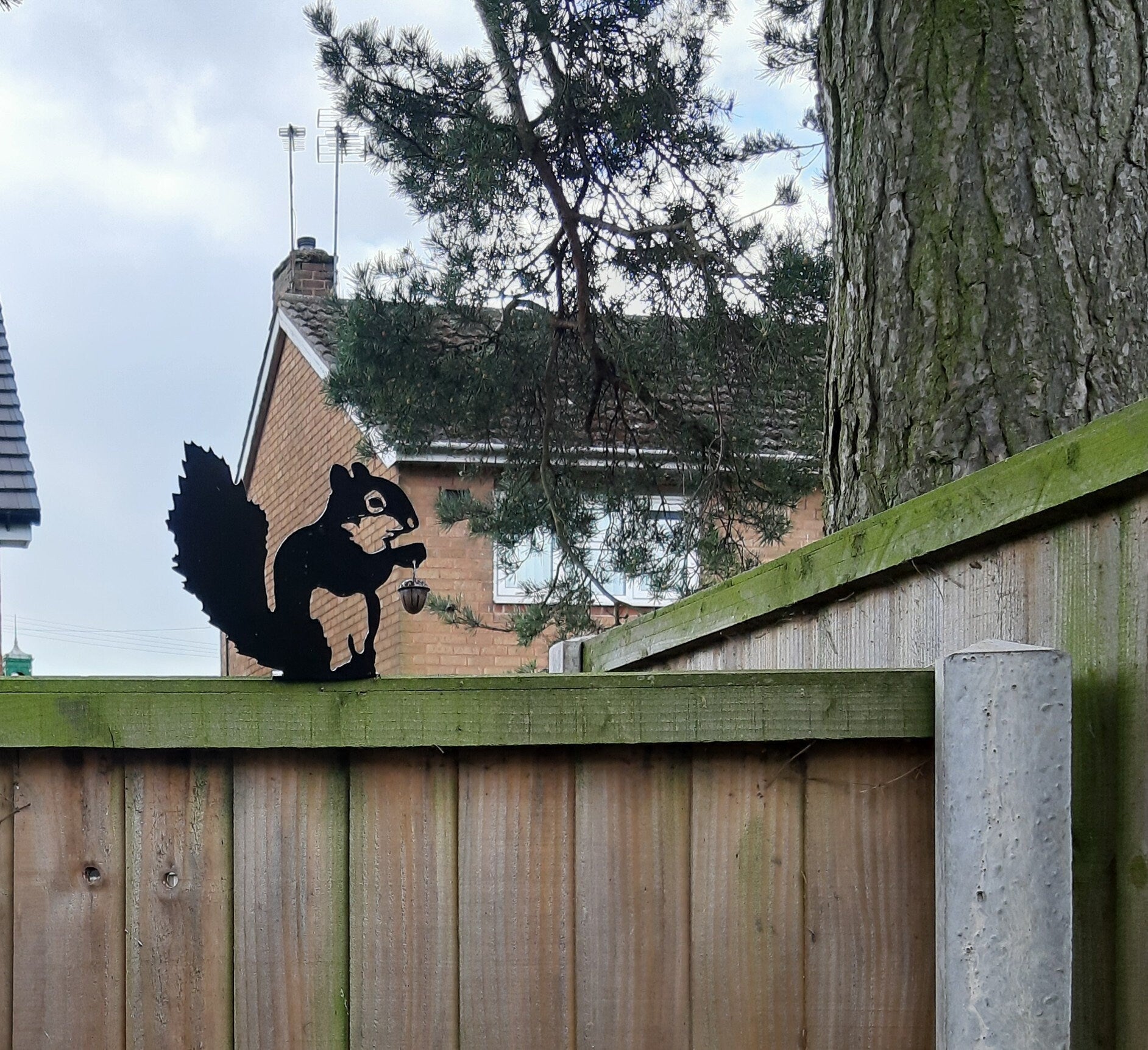 Metal Garden Decor - Squirrel. 17