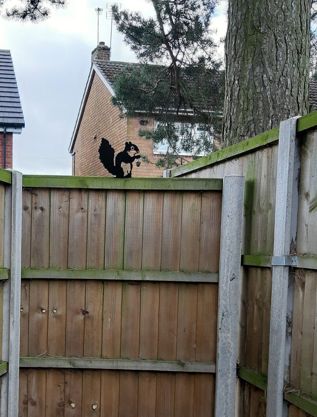 Metal Garden Decor - Squirrel. 17