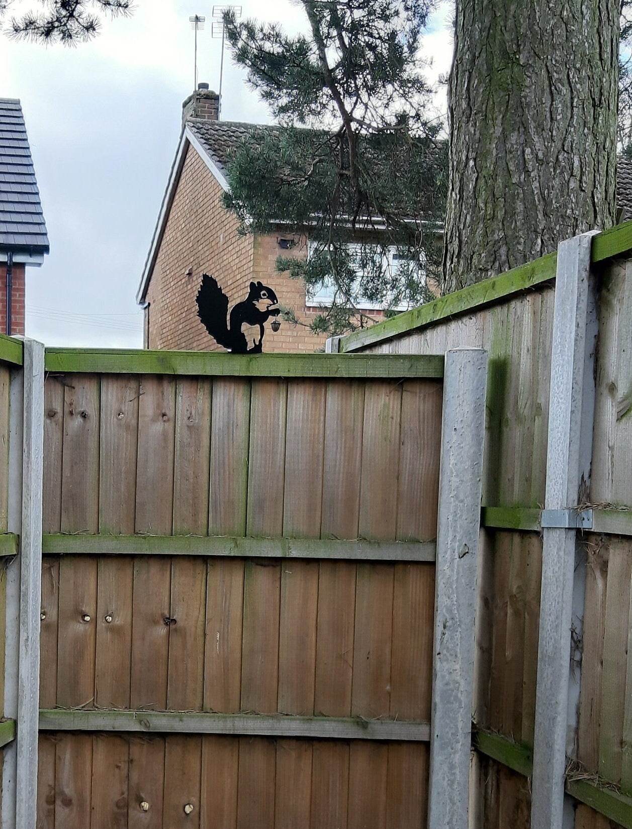 Metal Garden Decor - Squirrel. 17