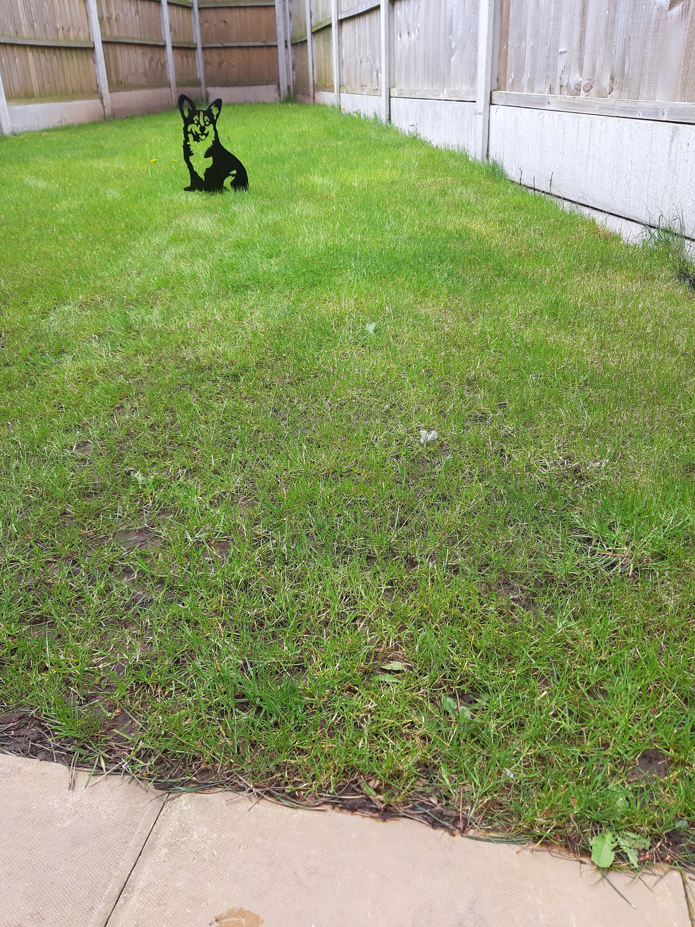 Metal Garden Decor - Corgi Dog. 18