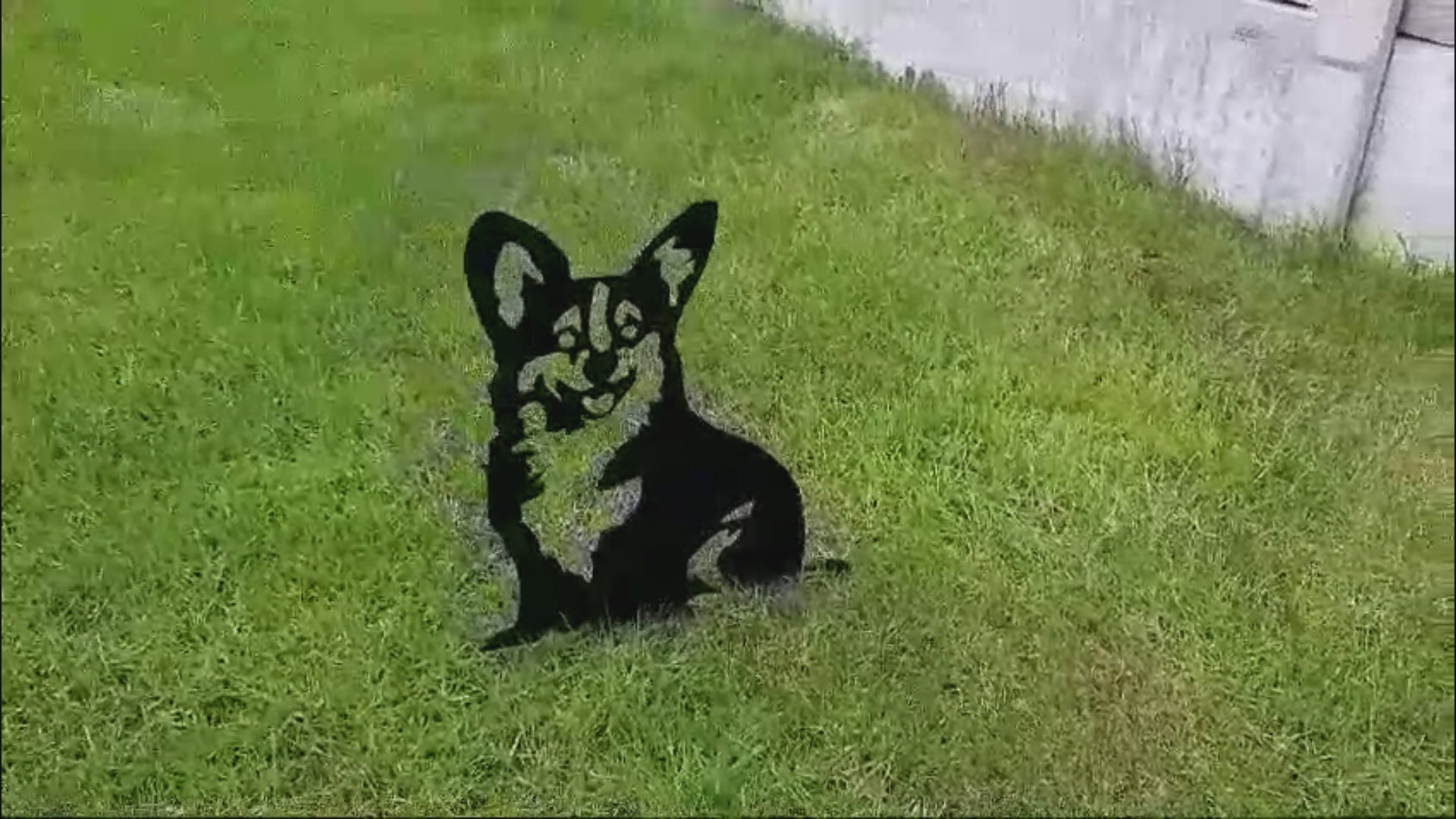 Metal Garden Decor - Corgi Dog. 18